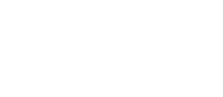 Triage Investiga